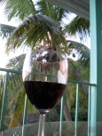 Fine wine and palm trees - Ahhhh!!