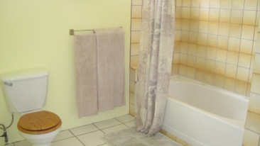 Micro-fiber over-sized bath sheets and a full size tub/shower with spa style shower head.